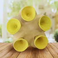 BeeCups™ - Velstående bier gir en velstående rabatt