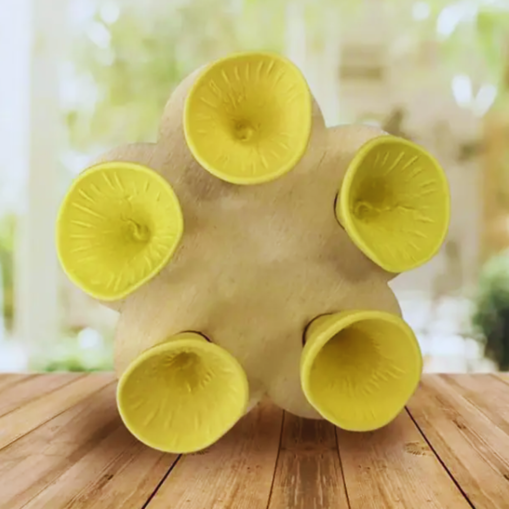 BeeCups™ - Velstående bier gir en velstående rabatt