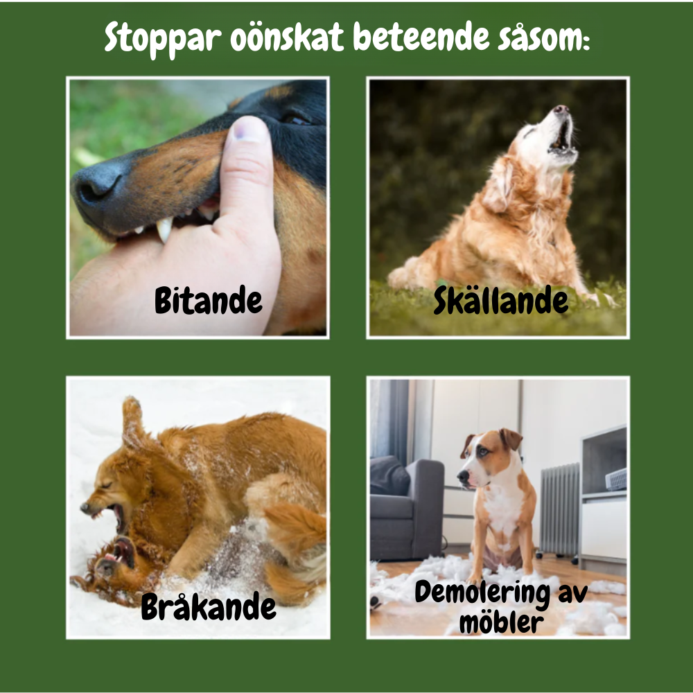 BarkStopper - Få din hund att sluta skälla utan fula metoder