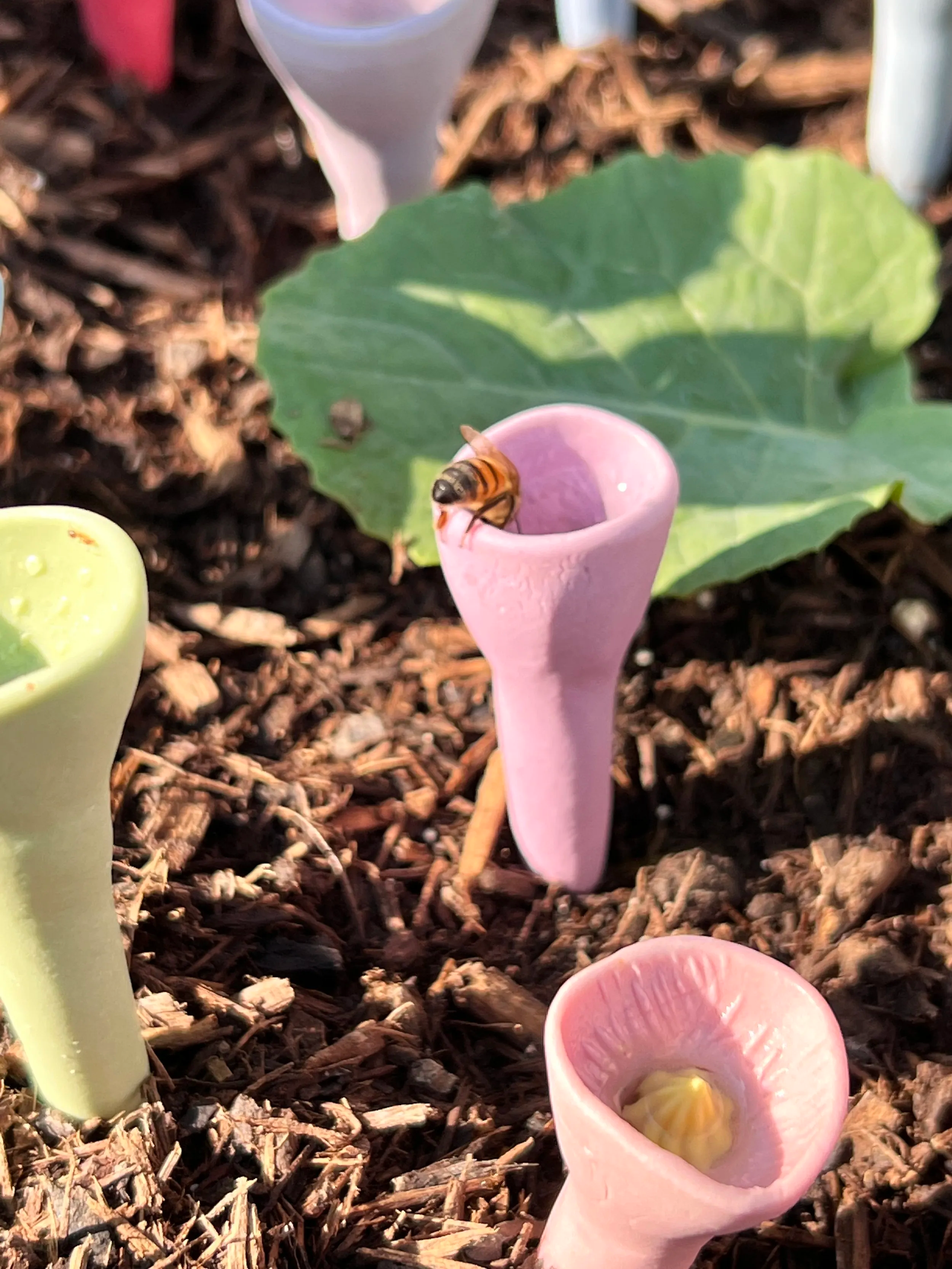 BeeCups™ - Velstående bier gir en velstående rabatt